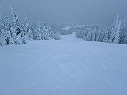 Borgafjällbackarna-Borgafjall必去景点