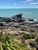 Tauranga Bay Seal Colony-韦斯特波特必去景点