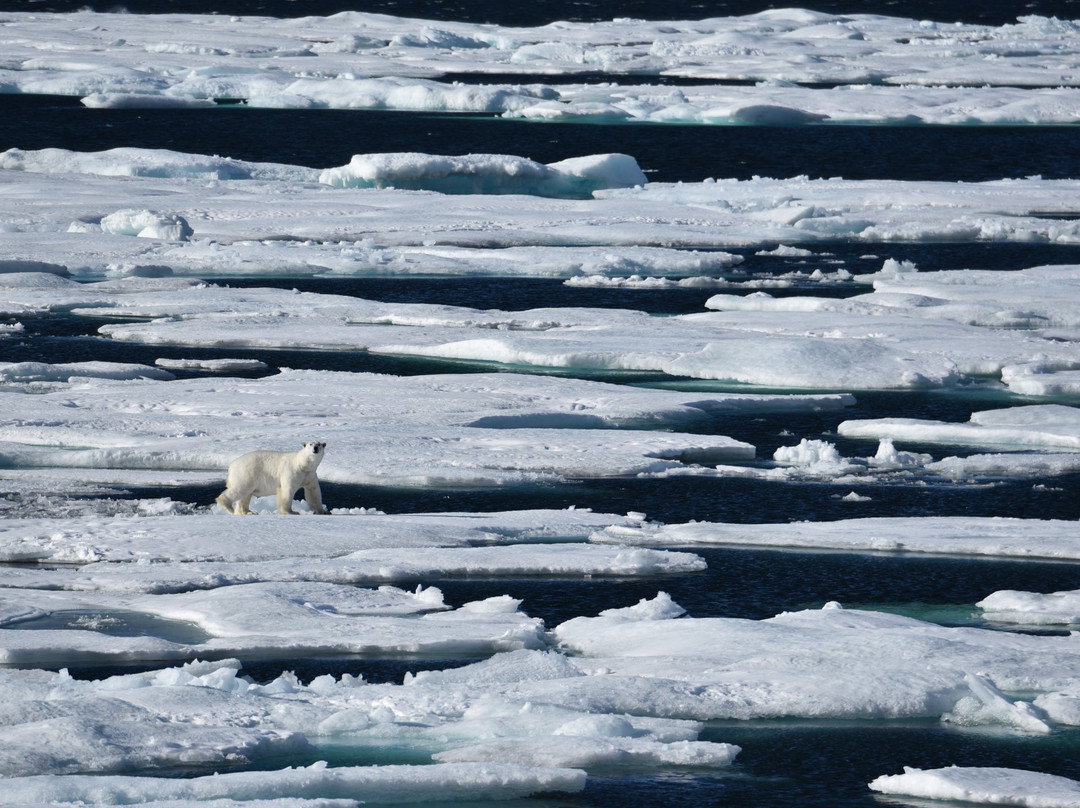 Ellesmere Island-Nunavut必去景点