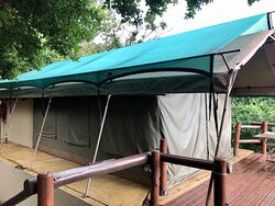 Amafu Forest Lodge主图