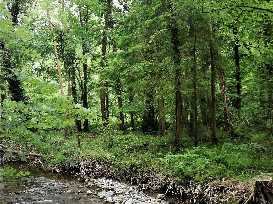 Abergwynant Woods-Penmaenpool必去景点