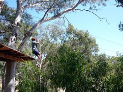 TreeClimb Adelaide-阿德莱德必去景点