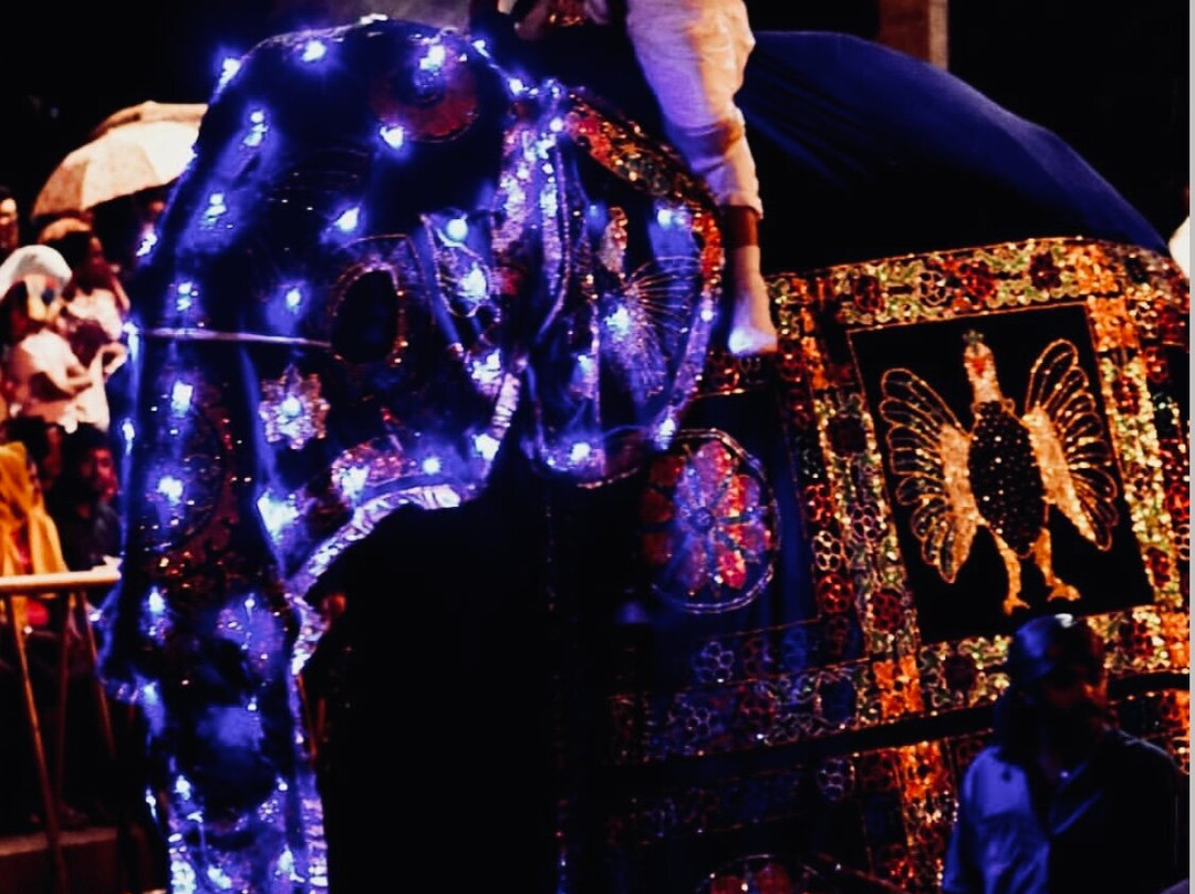 Esala Perahera Festival-康提必去景点