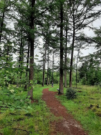 Landgoed "het Enzerinck"-Vorden必去景点