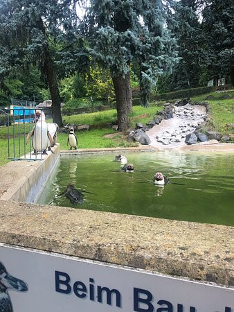 Zoo Neuwied景点图片