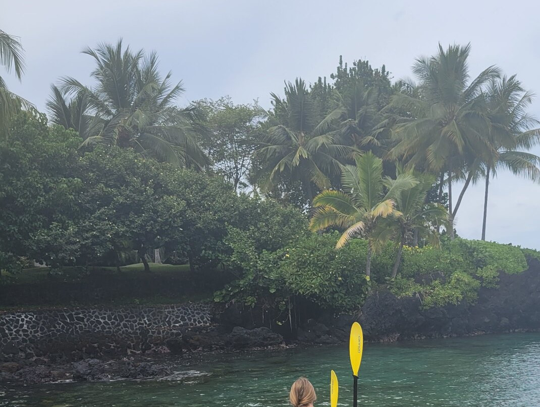 Kona Kayaks-库克船长必去景点