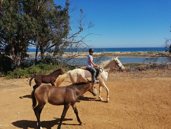Tavira Equestrian Tourism-塔维拉必去景点