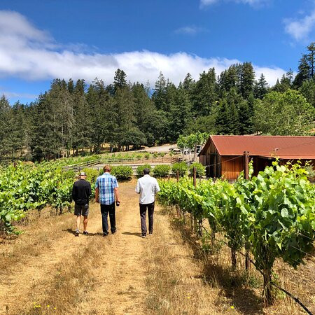 Red Car Winery Tasting Room景点图片