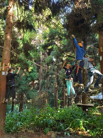 Makes Aventures-圣路易岛必去景点