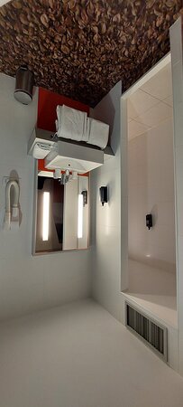 Ibis Styles Saint-Brieuc Gare Centre-浴室