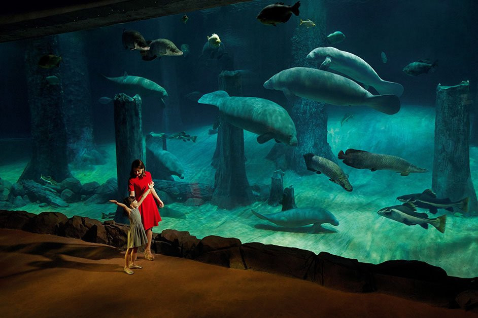 河川生态园-新加坡必去景点