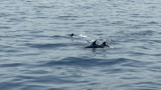 Turmares Tarifa-塔里法必去景点