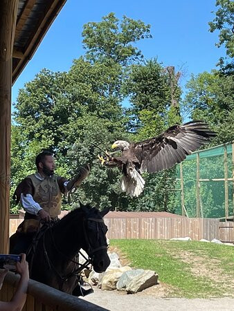 Les Aigles du Léman景点图片