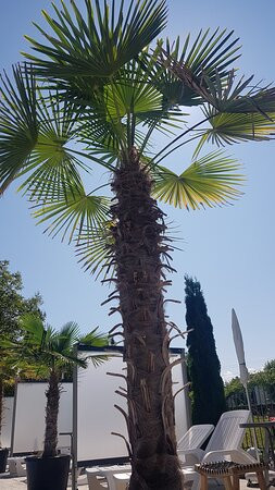 Pension Seehof主图