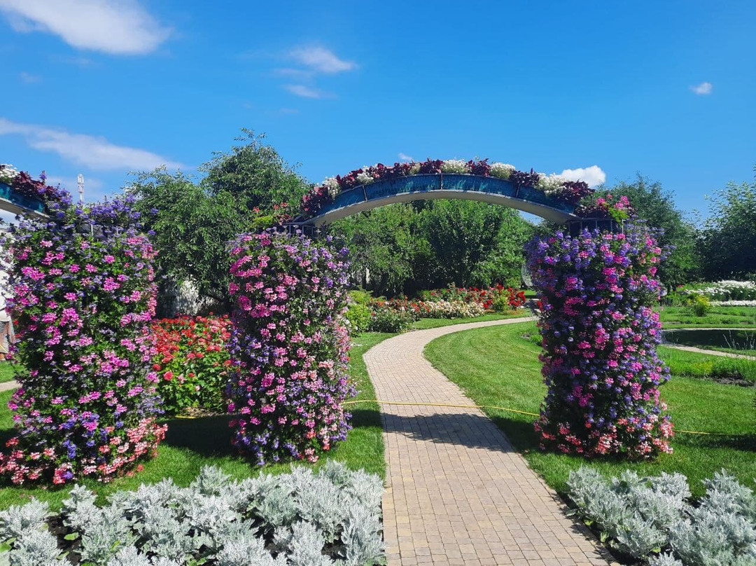 Camellia flower garden