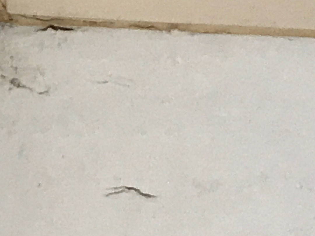 Hotel del Solar主图