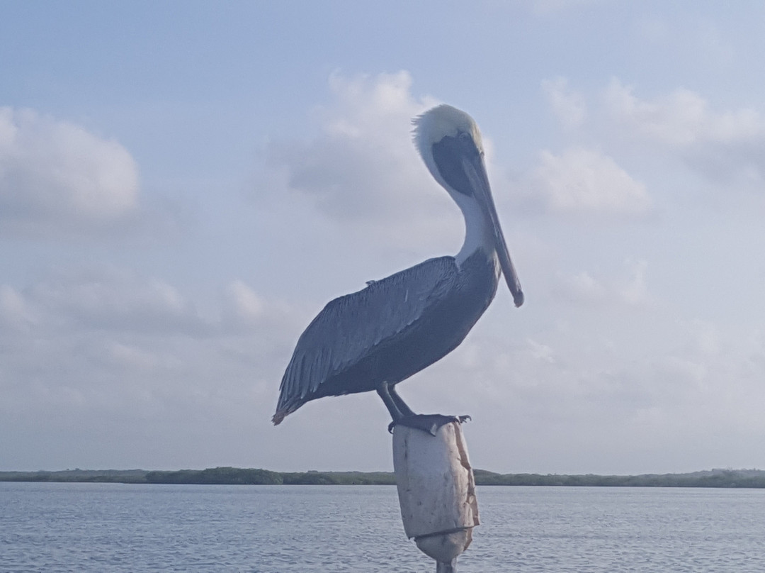 Sian Kaan Visitors Center主图