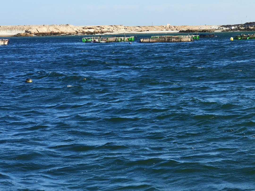 Kite House Dakhla