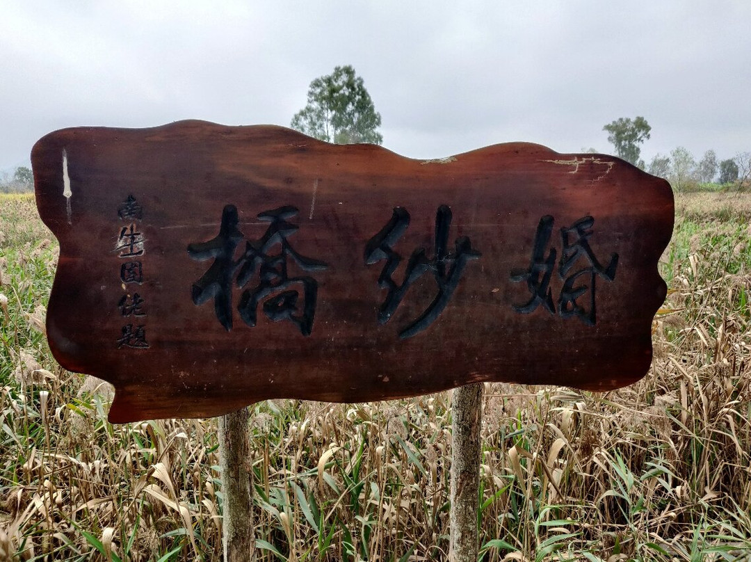 南生围-香港必去景点