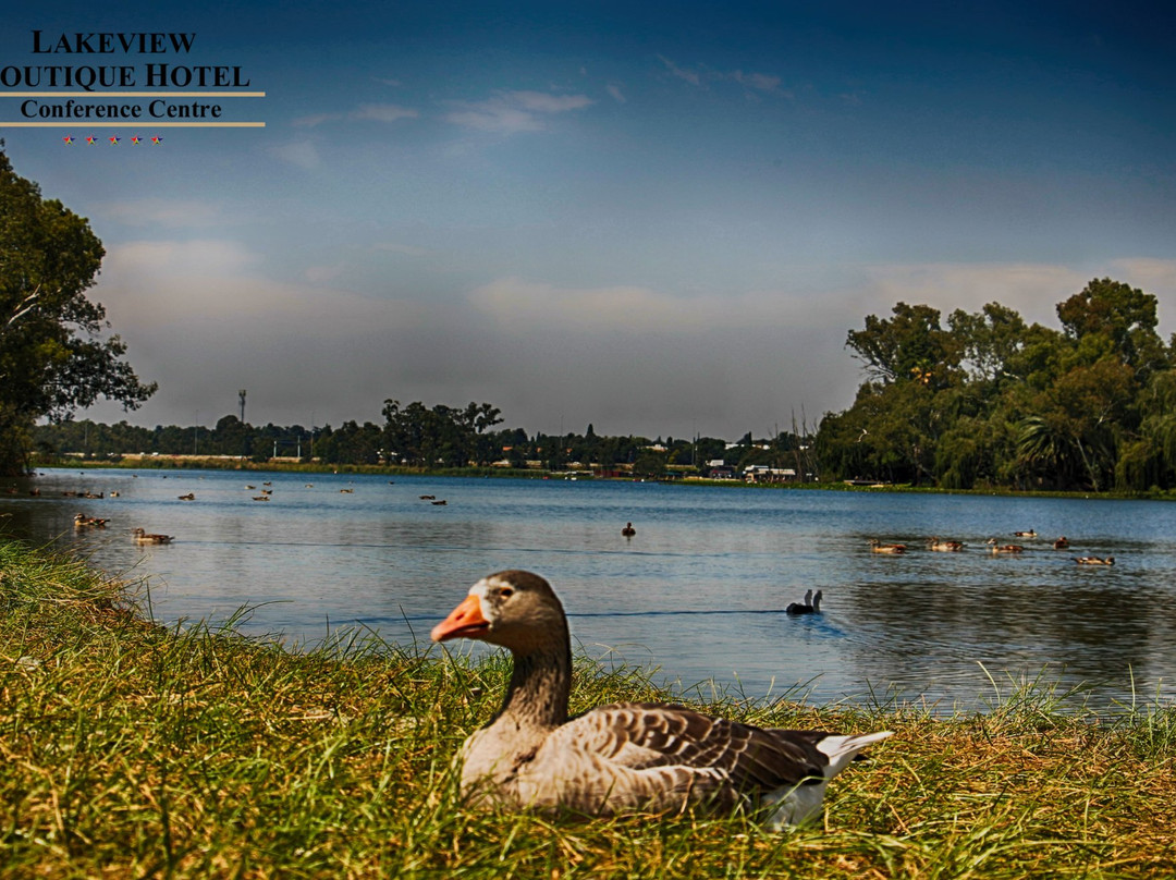 Lakeview Boutique Hotel & Conference Center主图