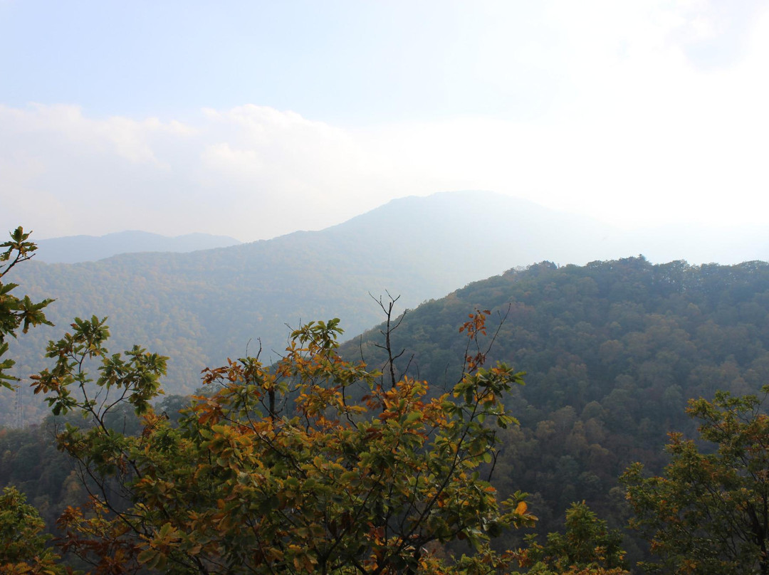 蛟河旅游攻略图片
