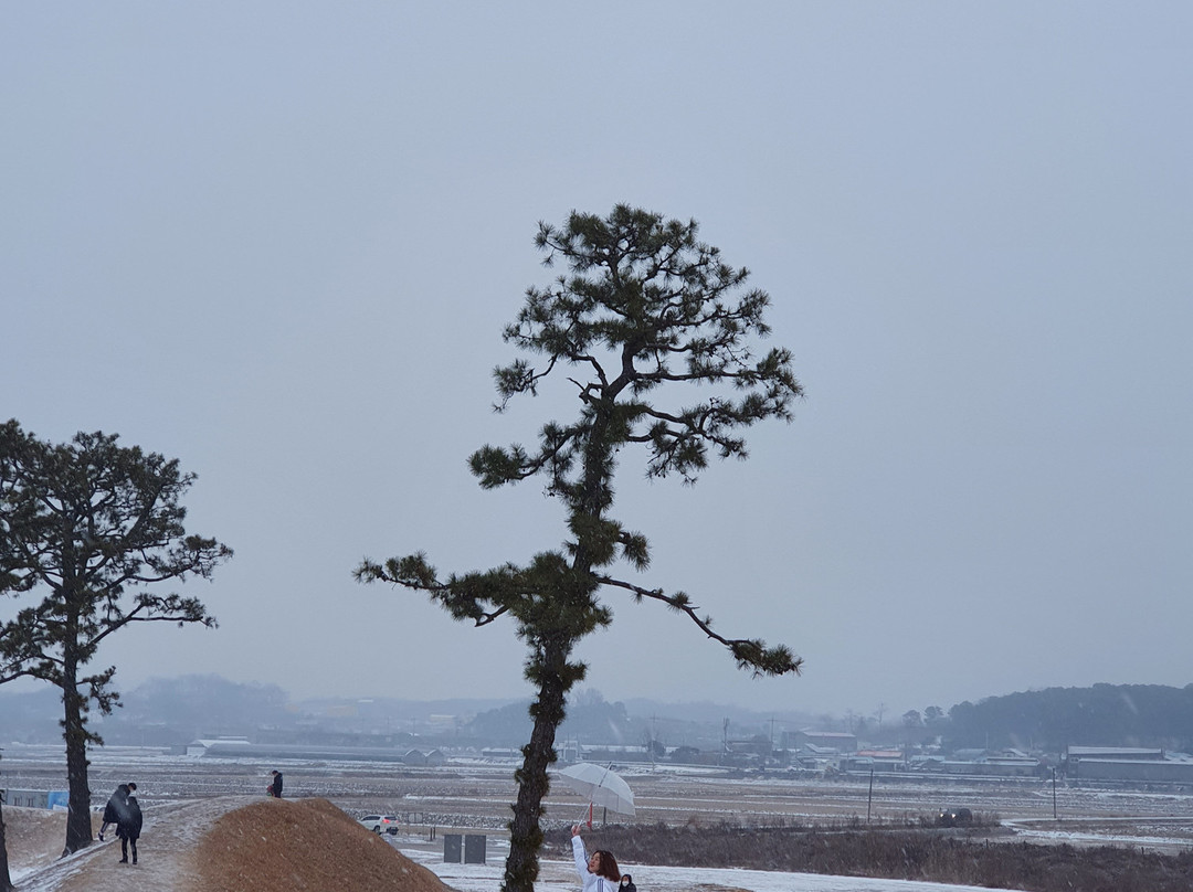 Jeongbukdong Toseong Fortress
