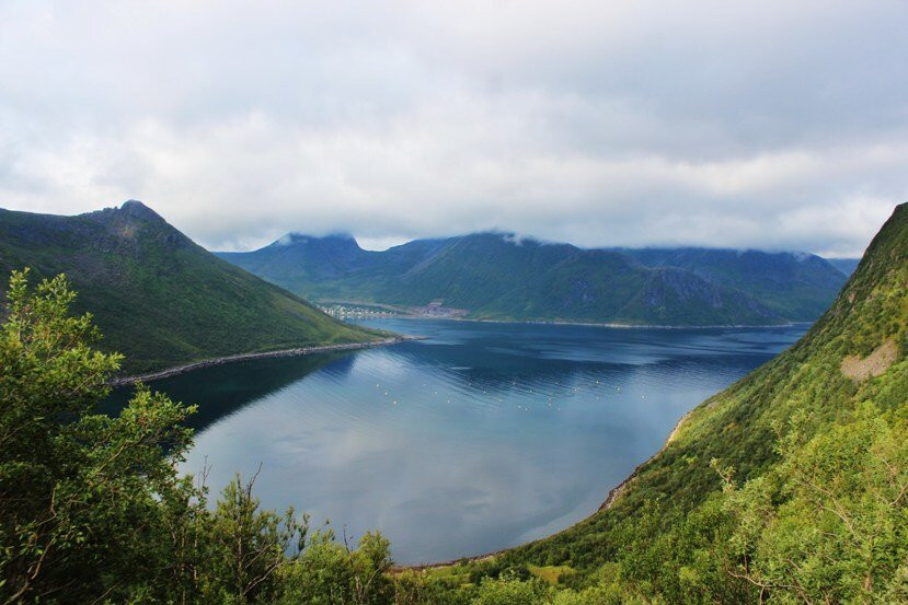 Traelvika