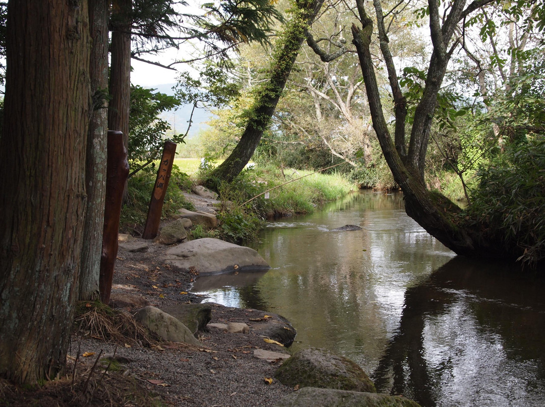 远野市旅游攻略图片