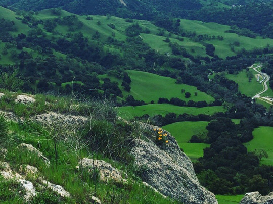 Sunol旅游攻略图片
