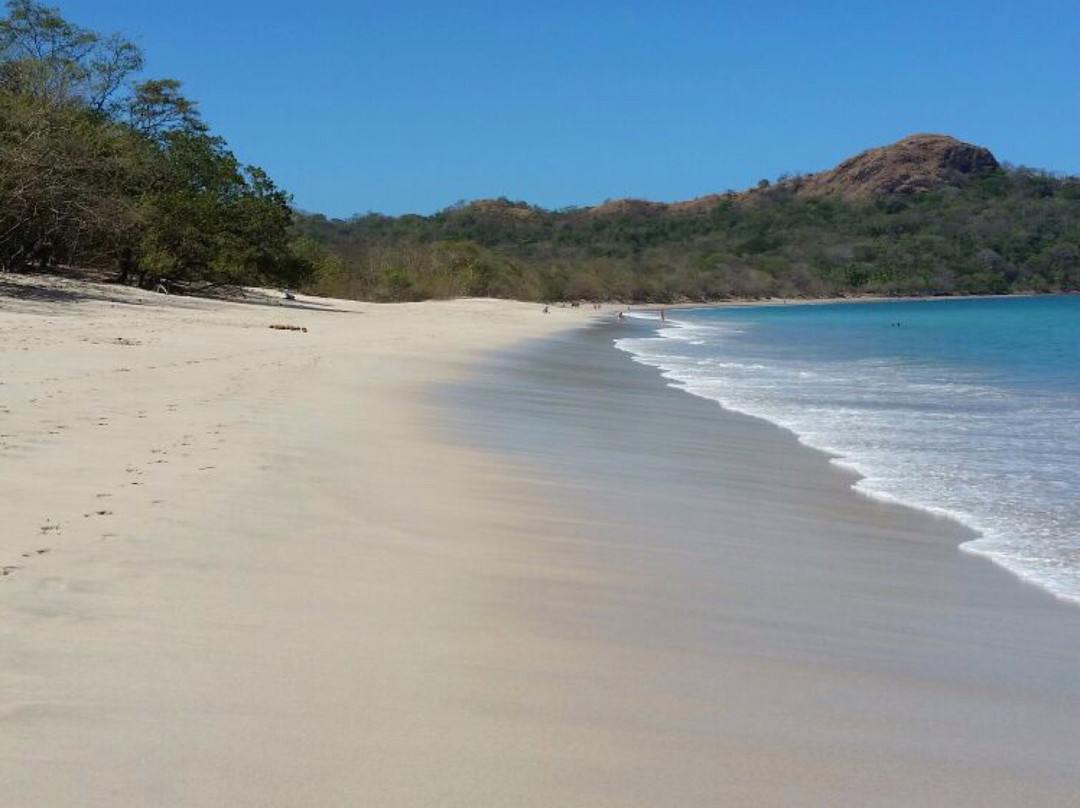 Playa Avellanas旅游攻略图片