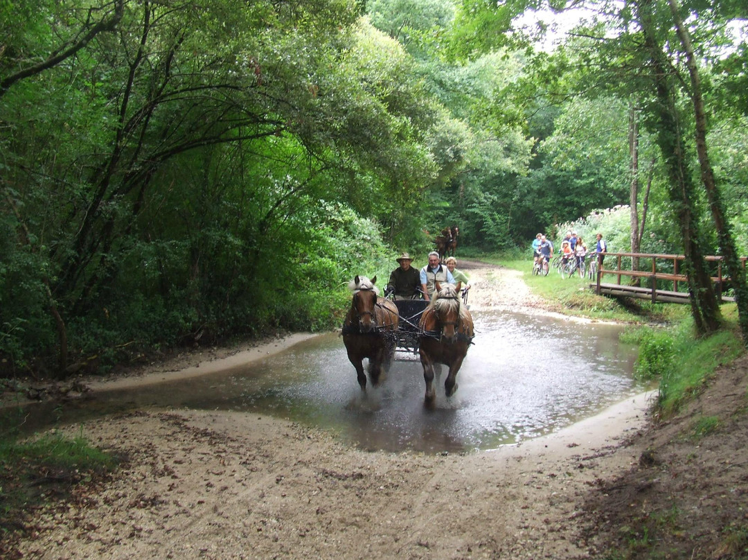 Mezieres-en-Brenne旅游攻略图片