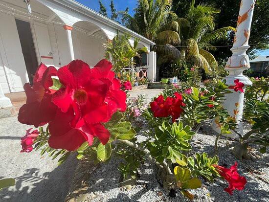 Desi-Rando-La Desirade必去景点