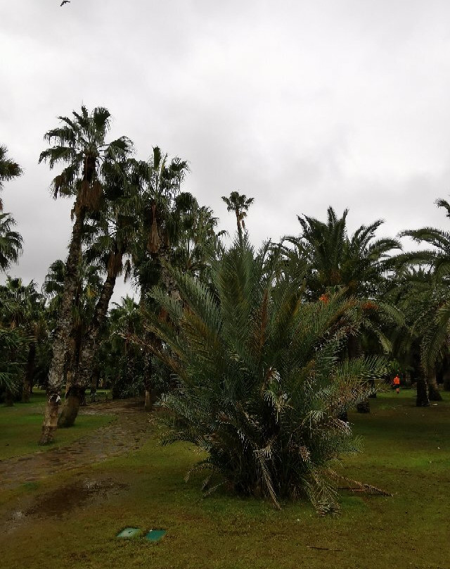 Parque de las Palmeras-梅利利亚必去景点