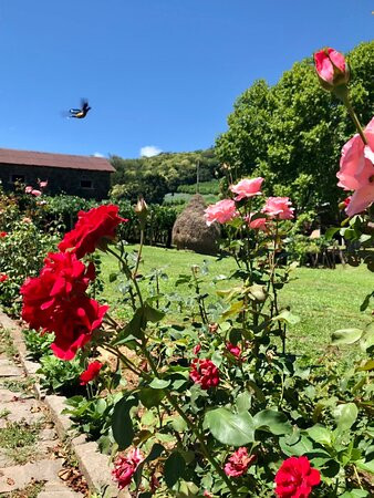 Cantina Strapazzon-本图贡萨尔维斯必去景点