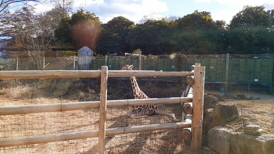 Gunma Safari Park景点图片