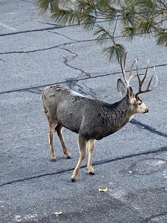 The Rochester Hotel主图