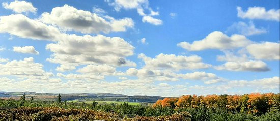 Fromagerie La Station-Compton必去景点