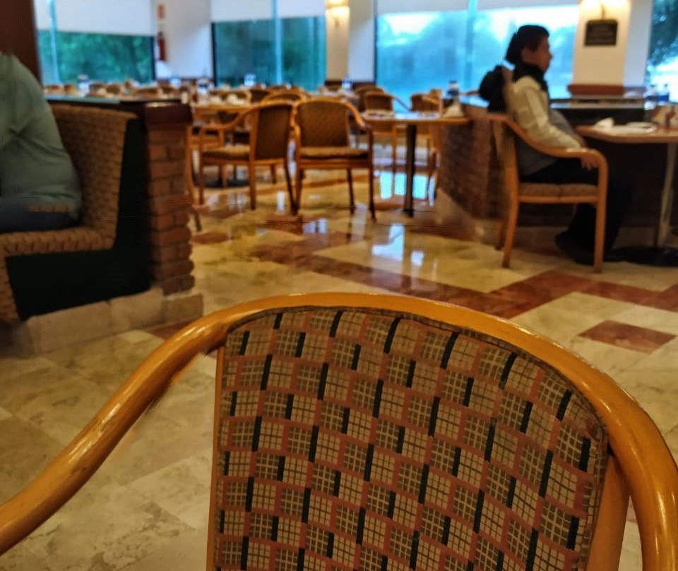 Fiesta Inn Tampico主图