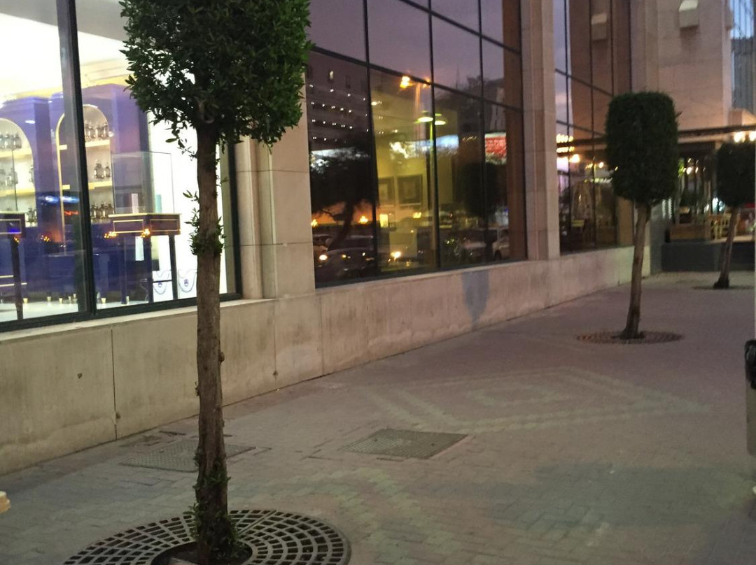 萨尔米亚旅游景点-Al Fanar Mall