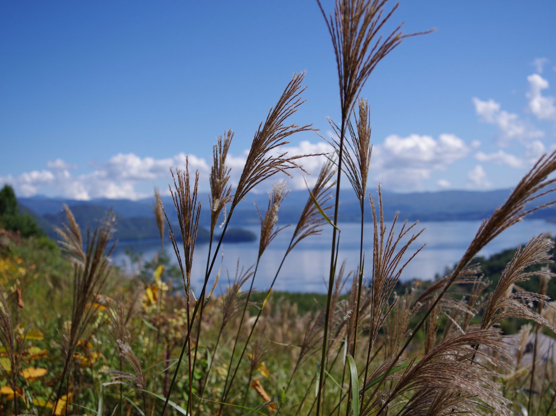 Lake Toya Ranch-洞爷湖町必去景点