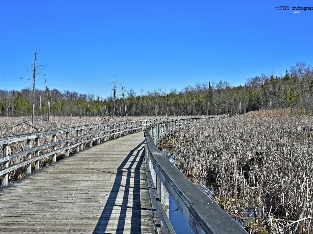 Deux-Montagnes旅游景点-Parc-Nature-du-Bois-de-l'île-Bizard