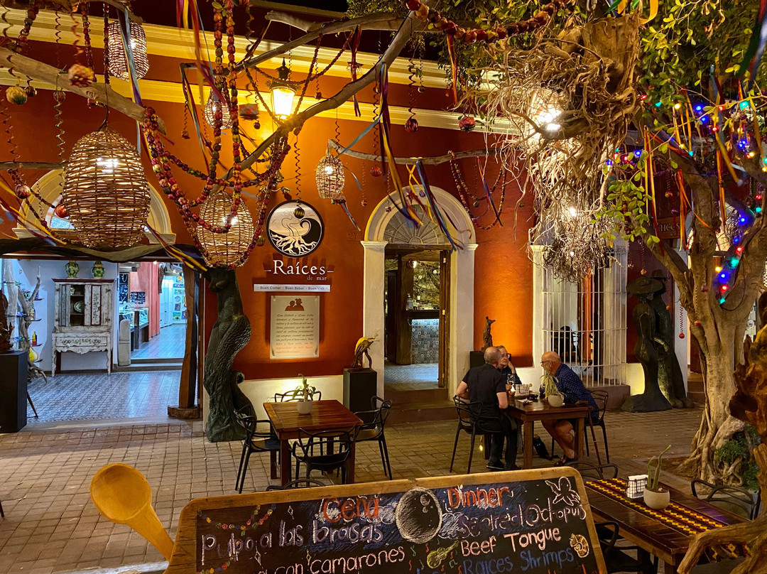 El Rosario酒店住宿-Hotel Raices de Mar