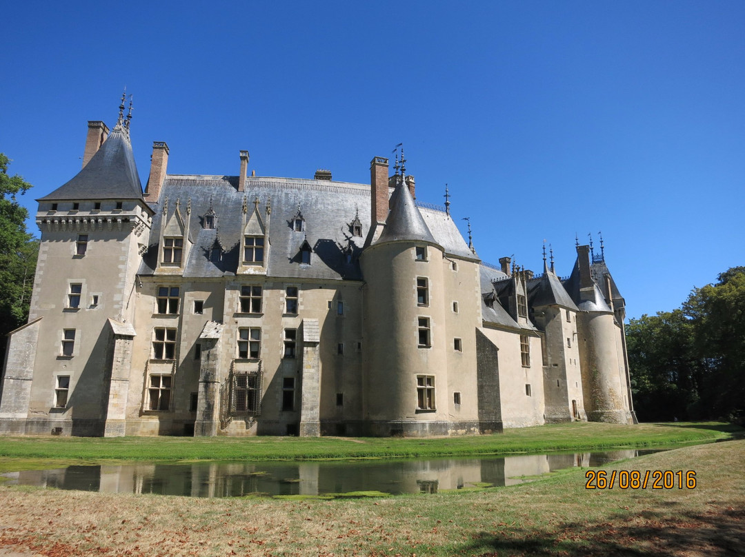 Château de Meillant景点图片