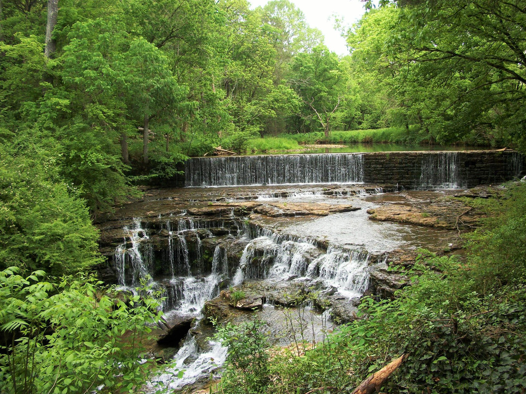 Belvidere旅游攻略图片
