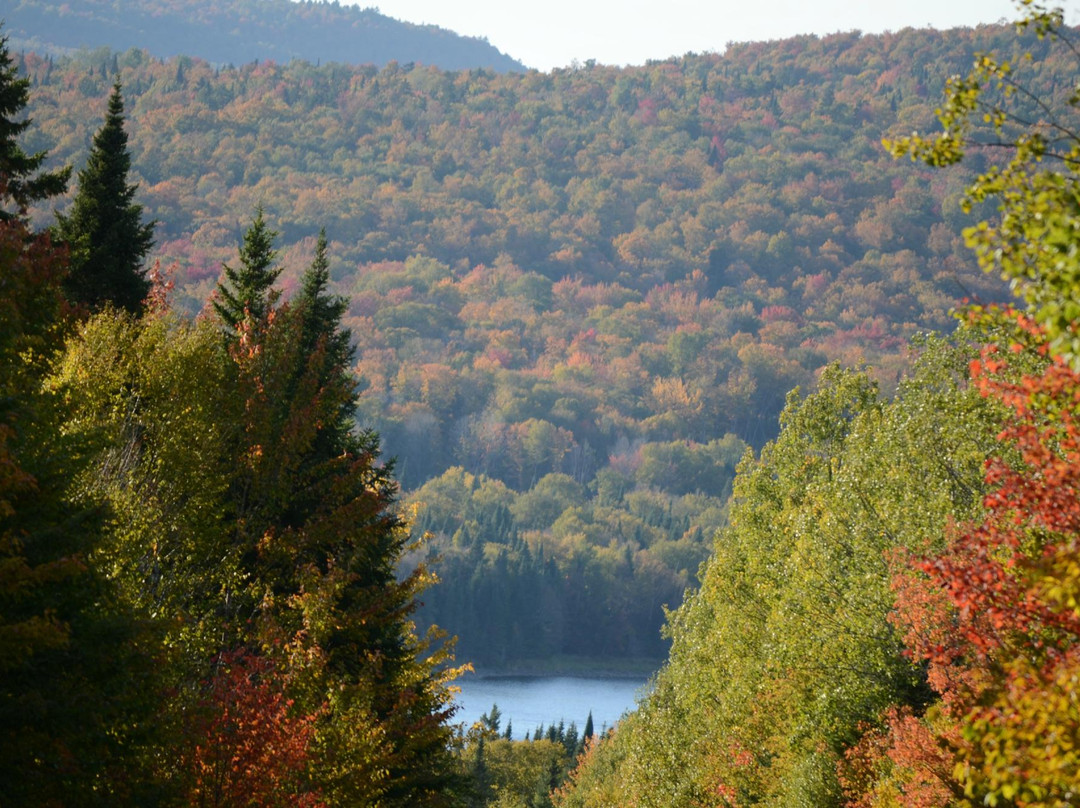 Pittsburg旅游攻略图片