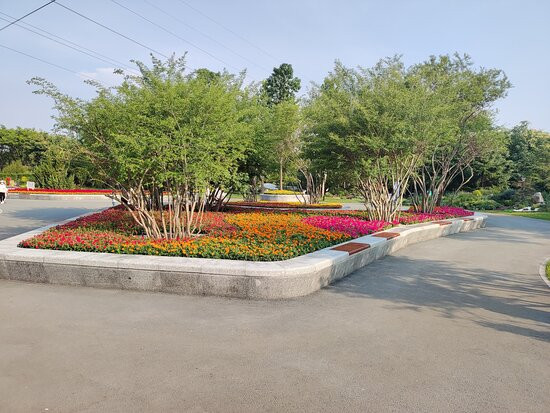 淄博植物园景点图片