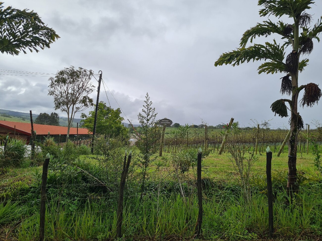 Vinícola Vale Das Colinas-Garanhuns必去景点