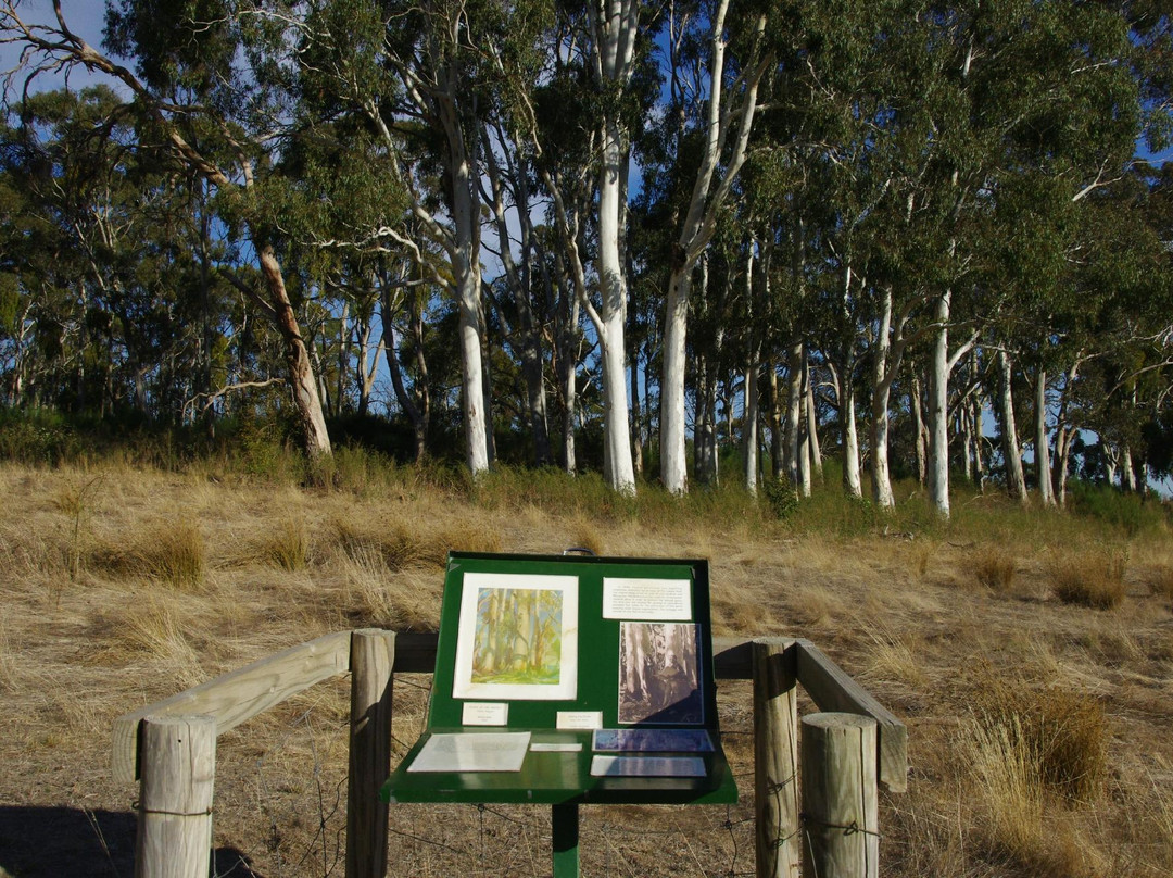 Heysen The Cedars景点图片