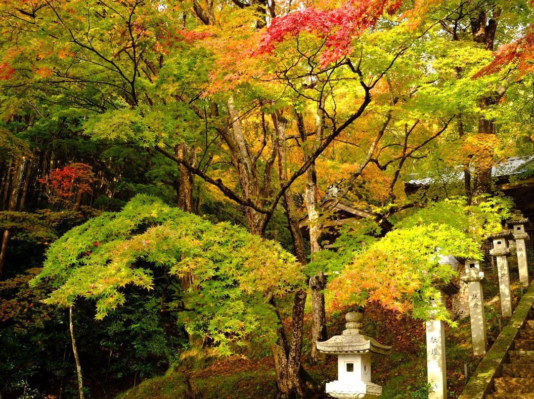 Saiko-ji Temple景点图片