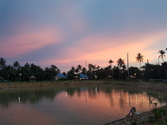 Chalong Fishing Park-拉威必去景点
